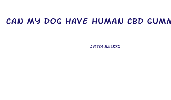 Can My Dog Have Human Cbd Gummies