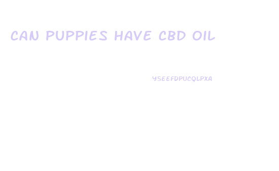 Can Puppies Have Cbd Oil