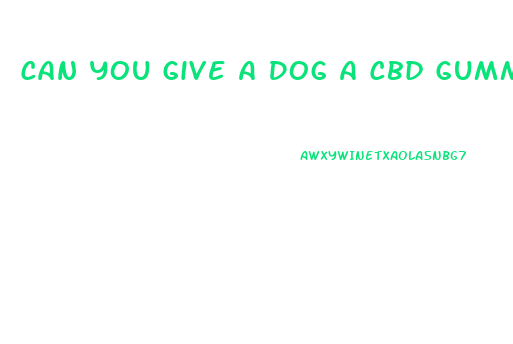 Can You Give A Dog A Cbd Gummy
