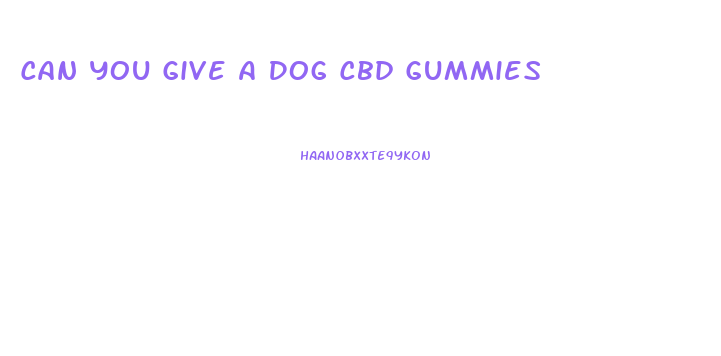 Can You Give A Dog Cbd Gummies
