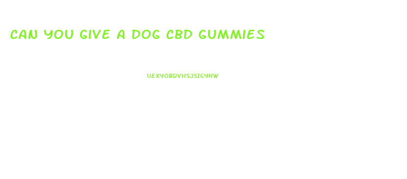 Can You Give A Dog Cbd Gummies