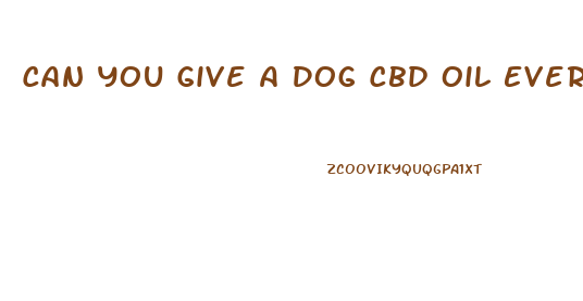 Can You Give A Dog Cbd Oil Every Day