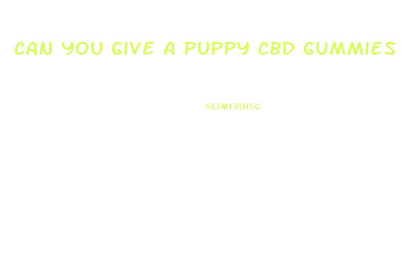 Can You Give A Puppy Cbd Gummies