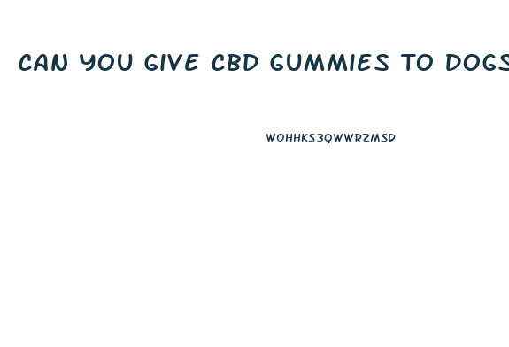 Can You Give Cbd Gummies To Dogs
