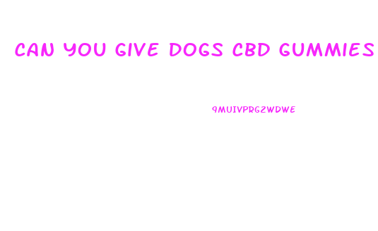 Can You Give Dogs Cbd Gummies