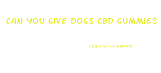 Can You Give Dogs Cbd Gummies For Anxiety