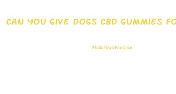 Can You Give Dogs Cbd Gummies For Anxiety