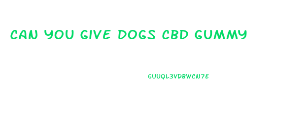 Can You Give Dogs Cbd Gummy