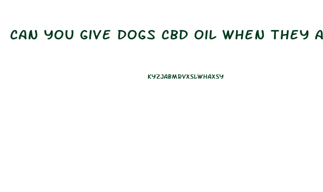 Can You Give Dogs Cbd Oil When They Are On Steroids