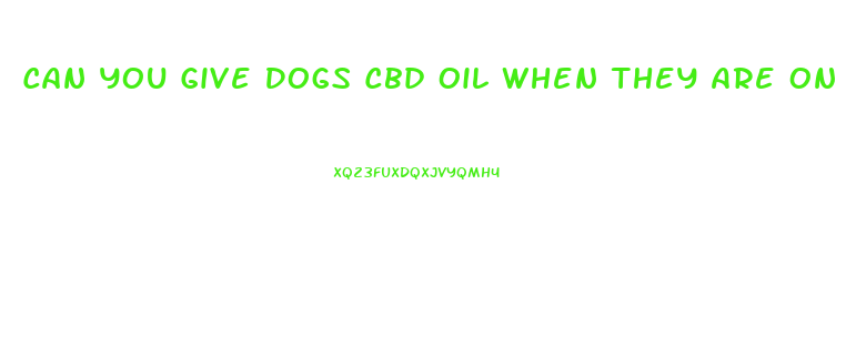 Can You Give Dogs Cbd Oil When They Are On Steroids
