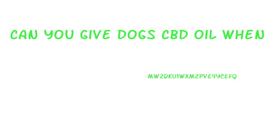 Can You Give Dogs Cbd Oil When They Are On Steroids