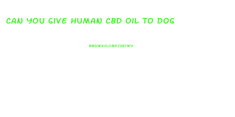 Can You Give Human Cbd Oil To Dog