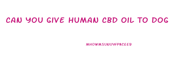 Can You Give Human Cbd Oil To Dog