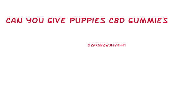 Can You Give Puppies Cbd Gummies
