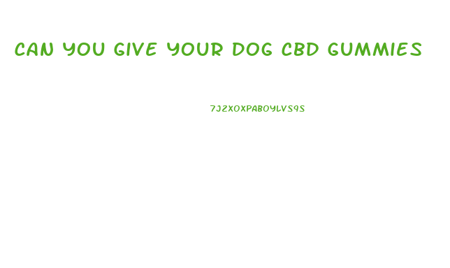 Can You Give Your Dog Cbd Gummies