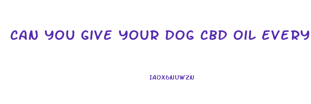 Can You Give Your Dog Cbd Oil Everyday