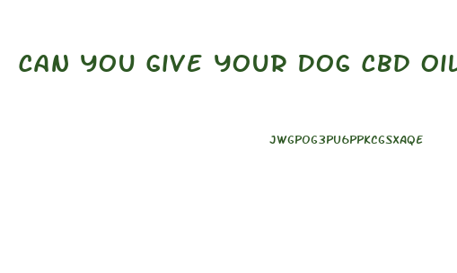 Can You Give Your Dog Cbd Oil Everyday