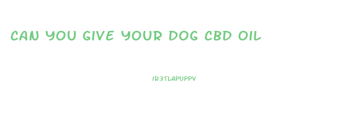 Can You Give Your Dog Cbd Oil