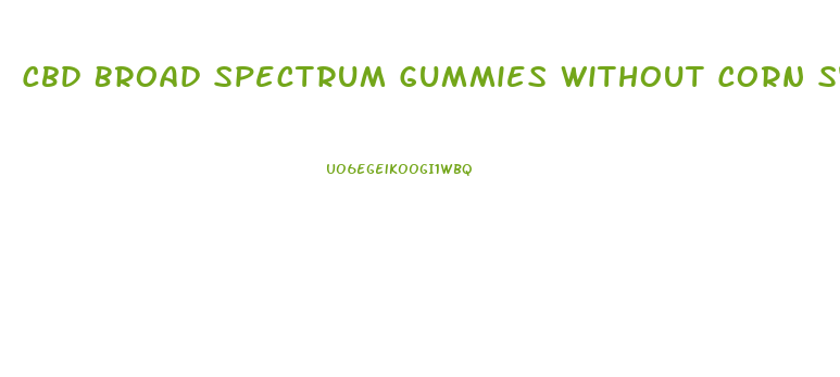 Cbd Broad Spectrum Gummies Without Corn Syrup