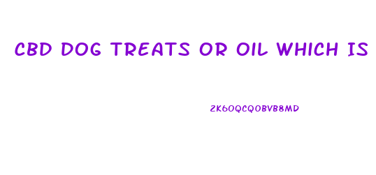 Cbd Dog Treats Or Oil Which Is Better