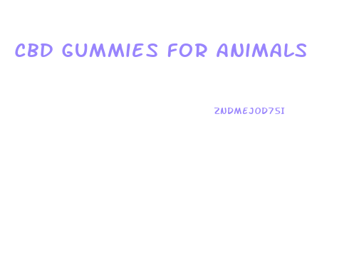 Cbd Gummies For Animals