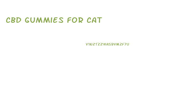 Cbd Gummies For Cat