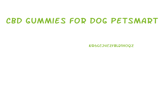 Cbd Gummies For Dog Petsmart