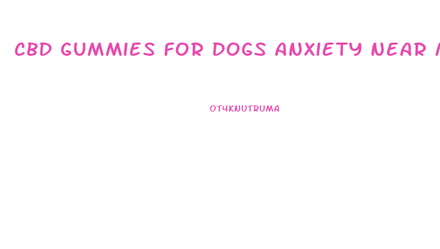 Cbd Gummies For Dogs Anxiety Near Me