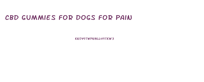 Cbd Gummies For Dogs For Pain