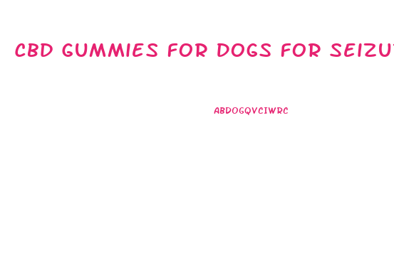 Cbd Gummies For Dogs For Seizures