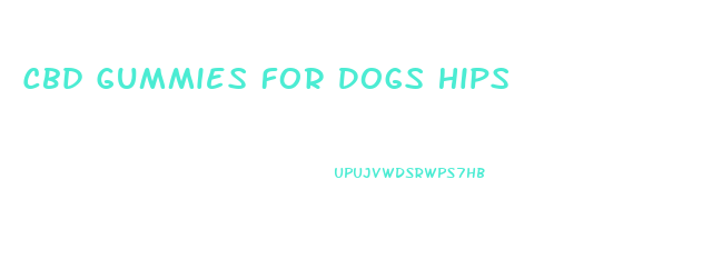 Cbd Gummies For Dogs Hips