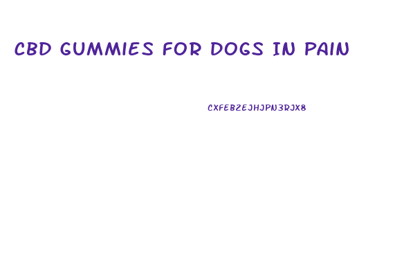 Cbd Gummies For Dogs In Pain