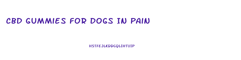 Cbd Gummies For Dogs In Pain