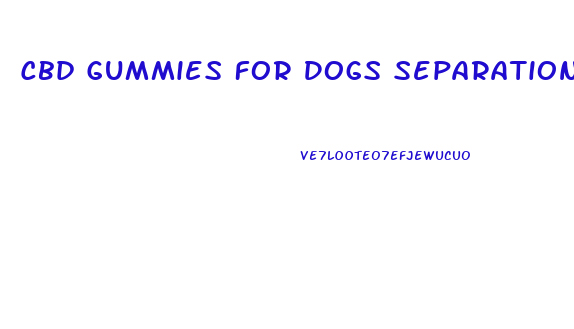 Cbd Gummies For Dogs Separation Anxiety