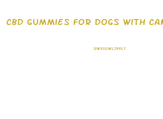 Cbd Gummies For Dogs With Cancer