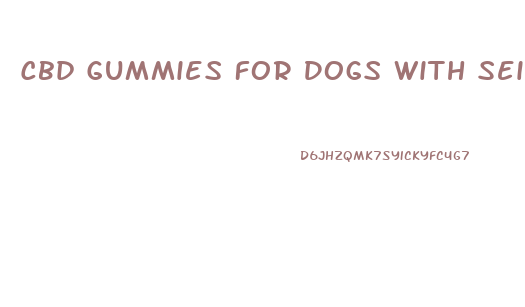 Cbd Gummies For Dogs With Seizures