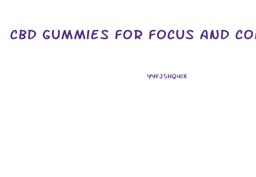 Cbd Gummies For Focus And Concentration