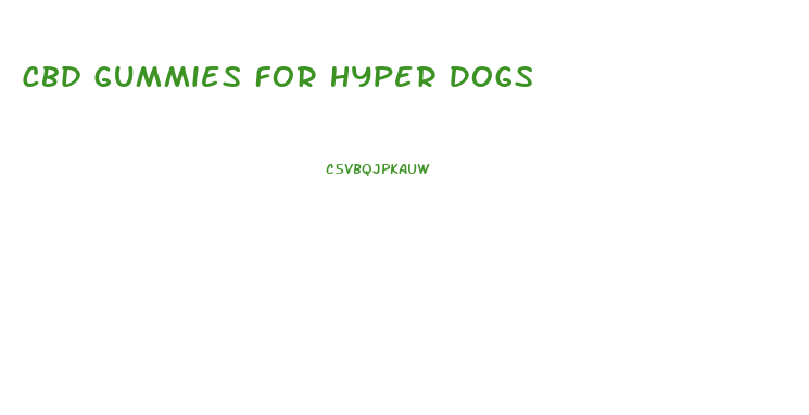 Cbd Gummies For Hyper Dogs