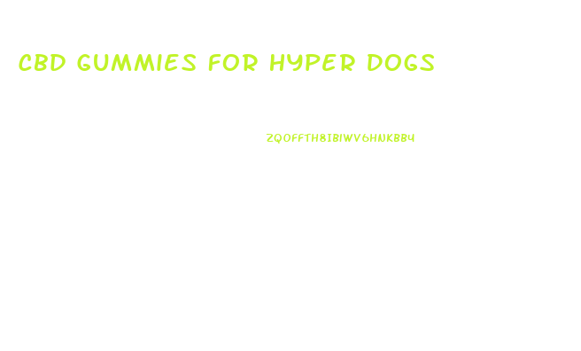 Cbd Gummies For Hyper Dogs