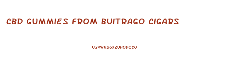 Cbd Gummies From Buitrago Cigars