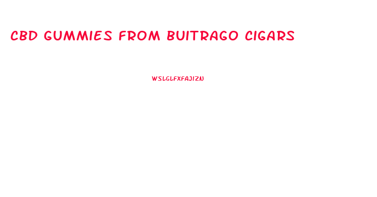 Cbd Gummies From Buitrago Cigars