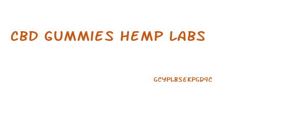Cbd Gummies Hemp Labs