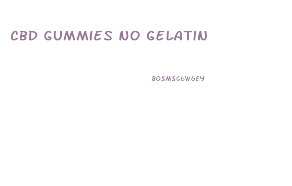 Cbd Gummies No Gelatin