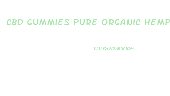 Cbd Gummies Pure Organic Hemp Extract