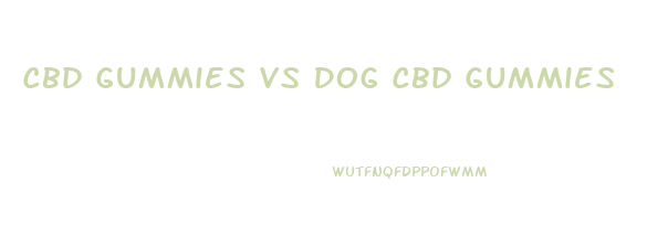 Cbd Gummies Vs Dog Cbd Gummies