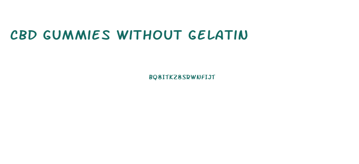Cbd Gummies Without Gelatin