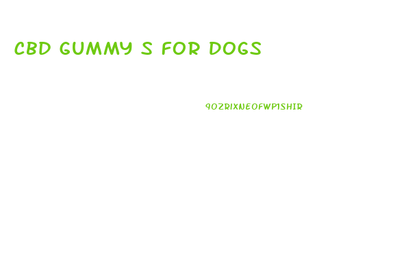 Cbd Gummy S For Dogs
