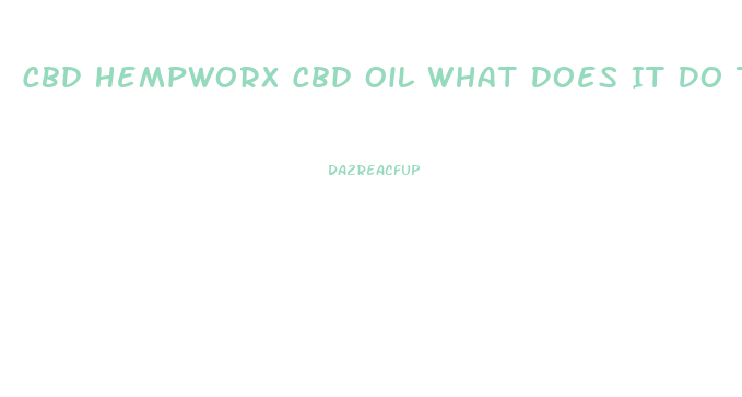 Cbd Hempworx Cbd Oil What Does It Do To You