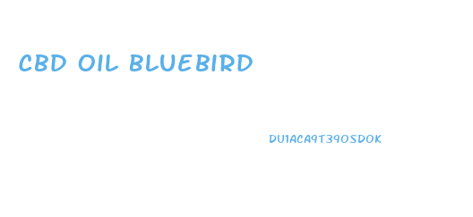 Cbd Oil Bluebird