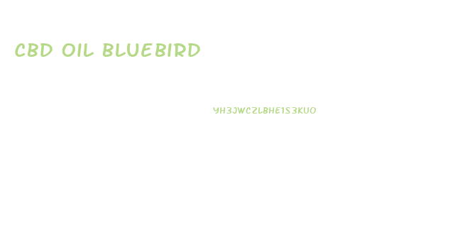 Cbd Oil Bluebird